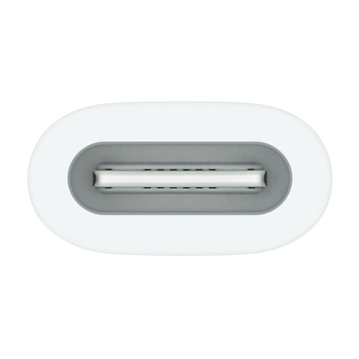 Grafische tablets en pennen Apple MWML3ZM/A